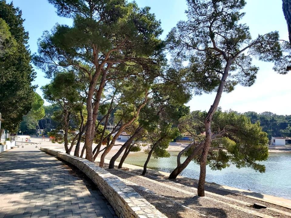 Mobile Home Sole Biograd Na Moru Dış mekan fotoğraf